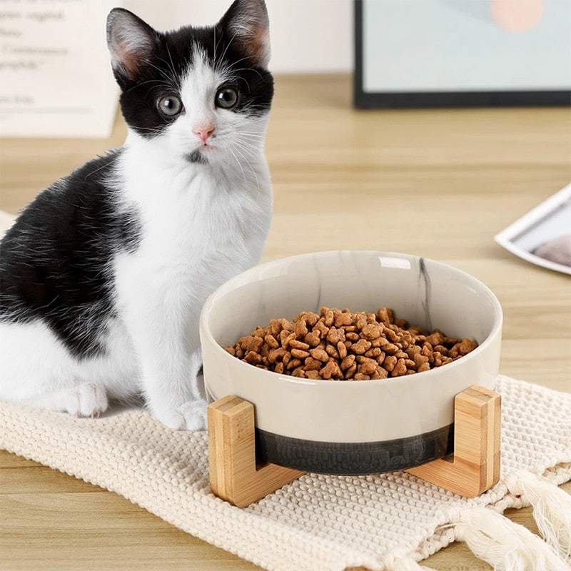 Ceramic Pet Bowl Dish With Wood Stand No Spill Pet Ceramic Double Bowl