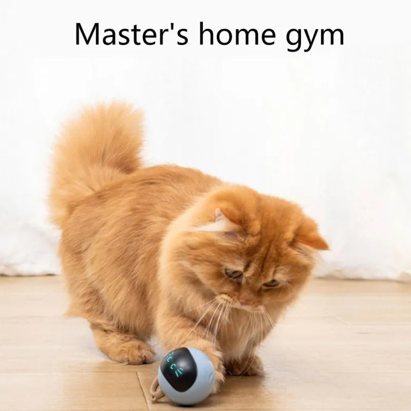 Automatic Self Rotating Toy For Pups & Kittens
