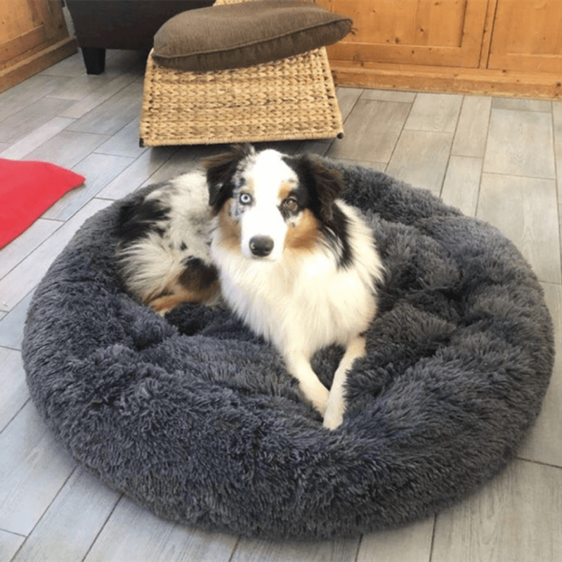 Super Soft Pet Dog Cat Bed Plush Full Size Washable Calm Bed