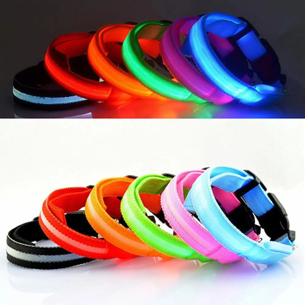 Glowing LED Dog Anti-lost Collar For Small Medium & Large Dogs