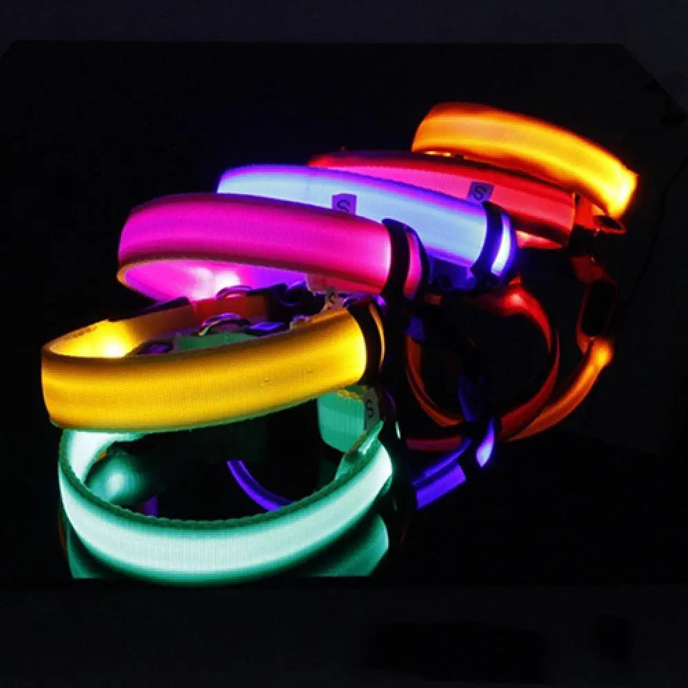Glowing LED Dog Anti-lost Collar For Small Medium & Large Dogs