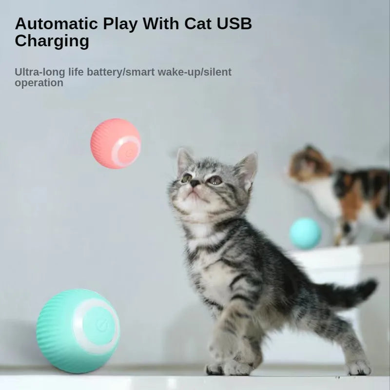 The Benefits of an Interactive Cat Toy