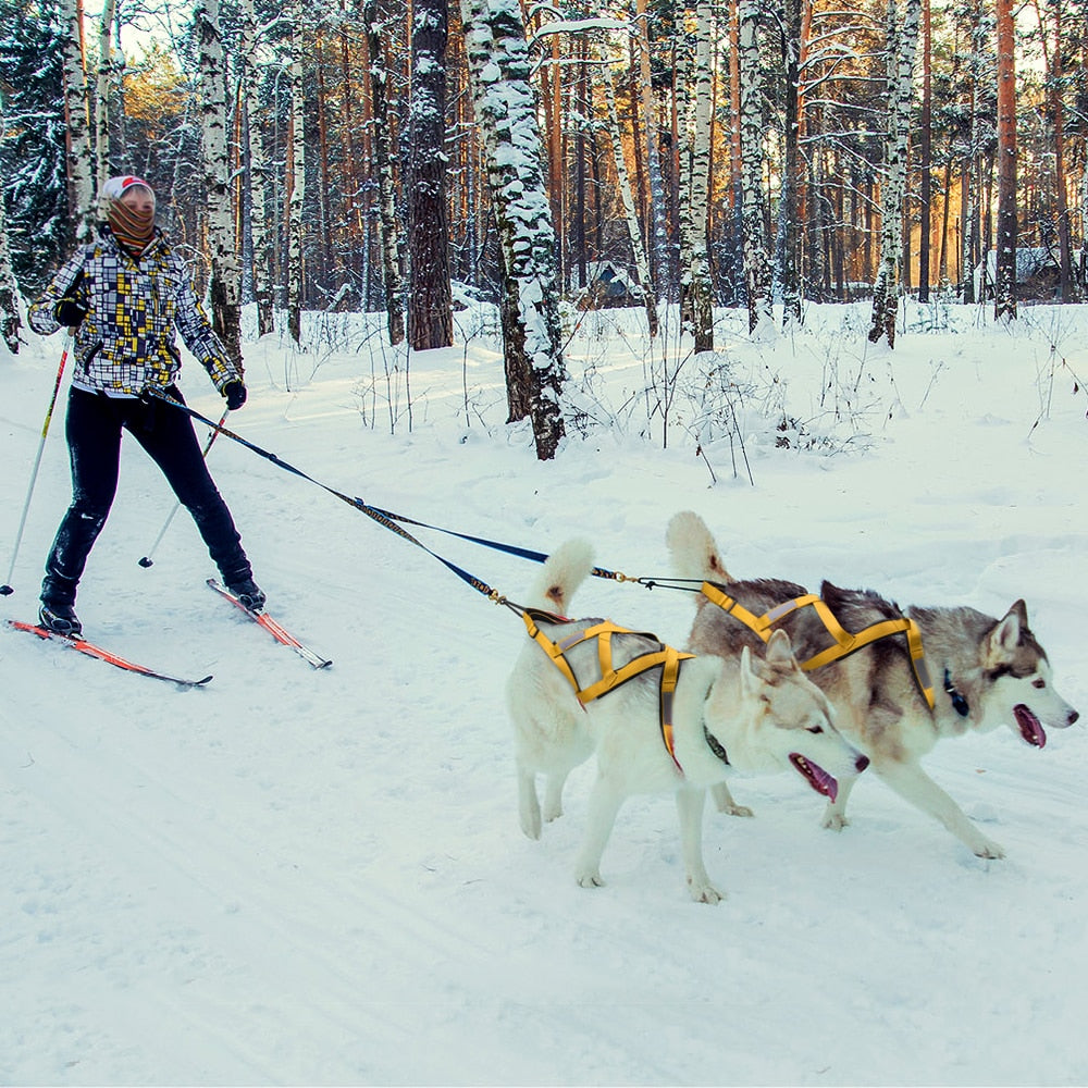 Dog Sled Harness Pet Weight Pulling Sledding Harness Mushing