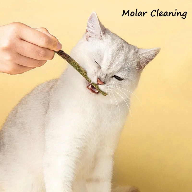 Teeth Grinding Mint sticks for Cats