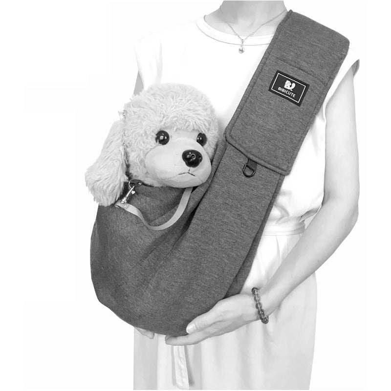 Fashion Pet Carrier Outdoor Travel Handbag