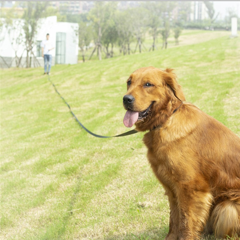 Long Dog Leash Rope Comfortable Sponge Handle Pet Lead Belt Outdoor