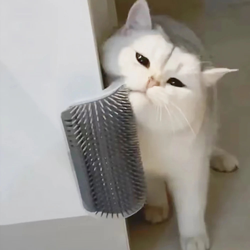 Massager Wall Brush for Cats
