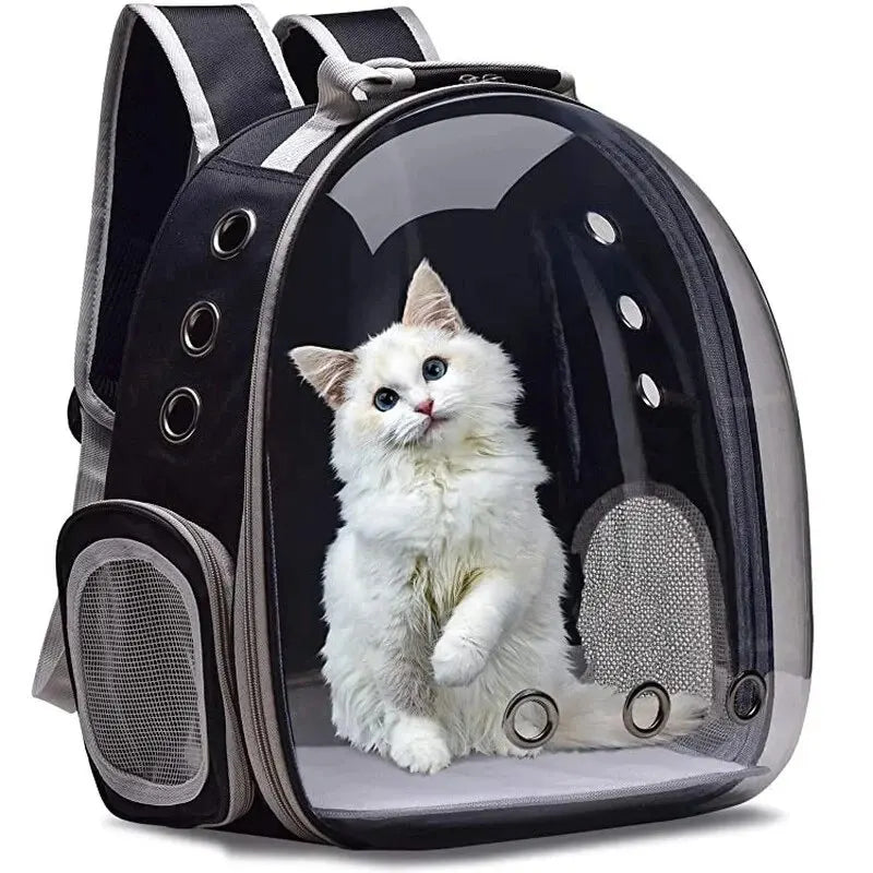 Transparent Cat Capsule Carrier Backpack