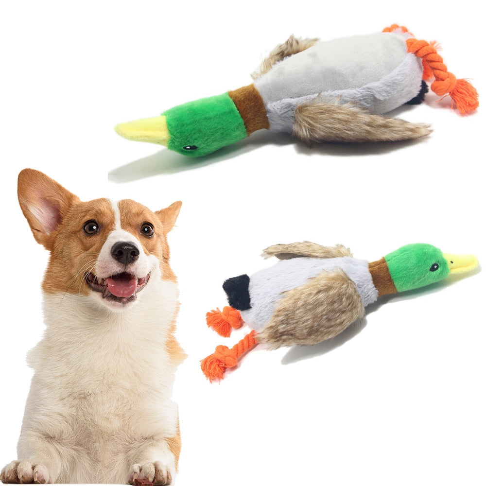 Cute Plush Duck Sound Pet Toy Animal Squeak Dog Toy Cleaning Tooth