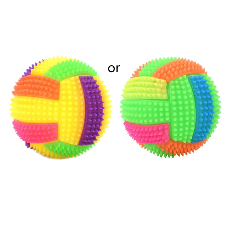 Dog Squeak Glowing Ball