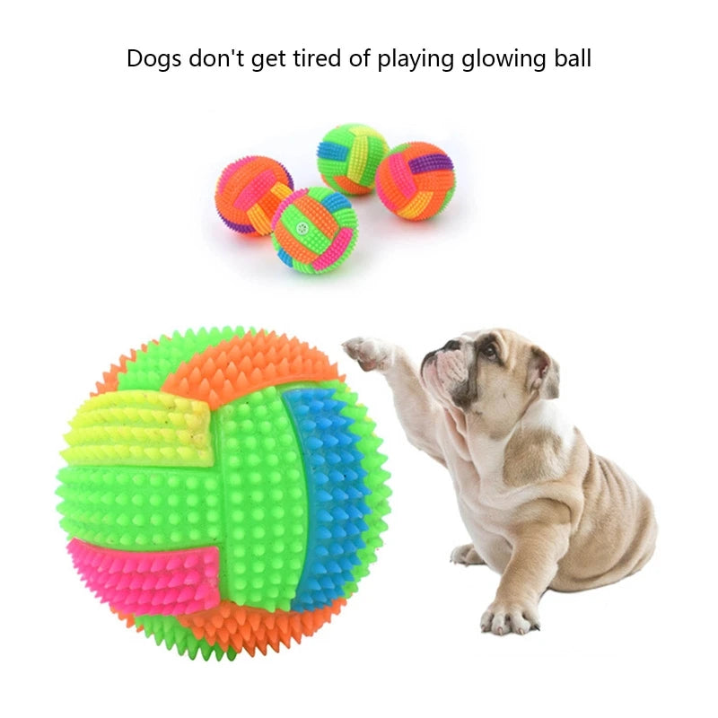 Dog Squeak Glowing Ball