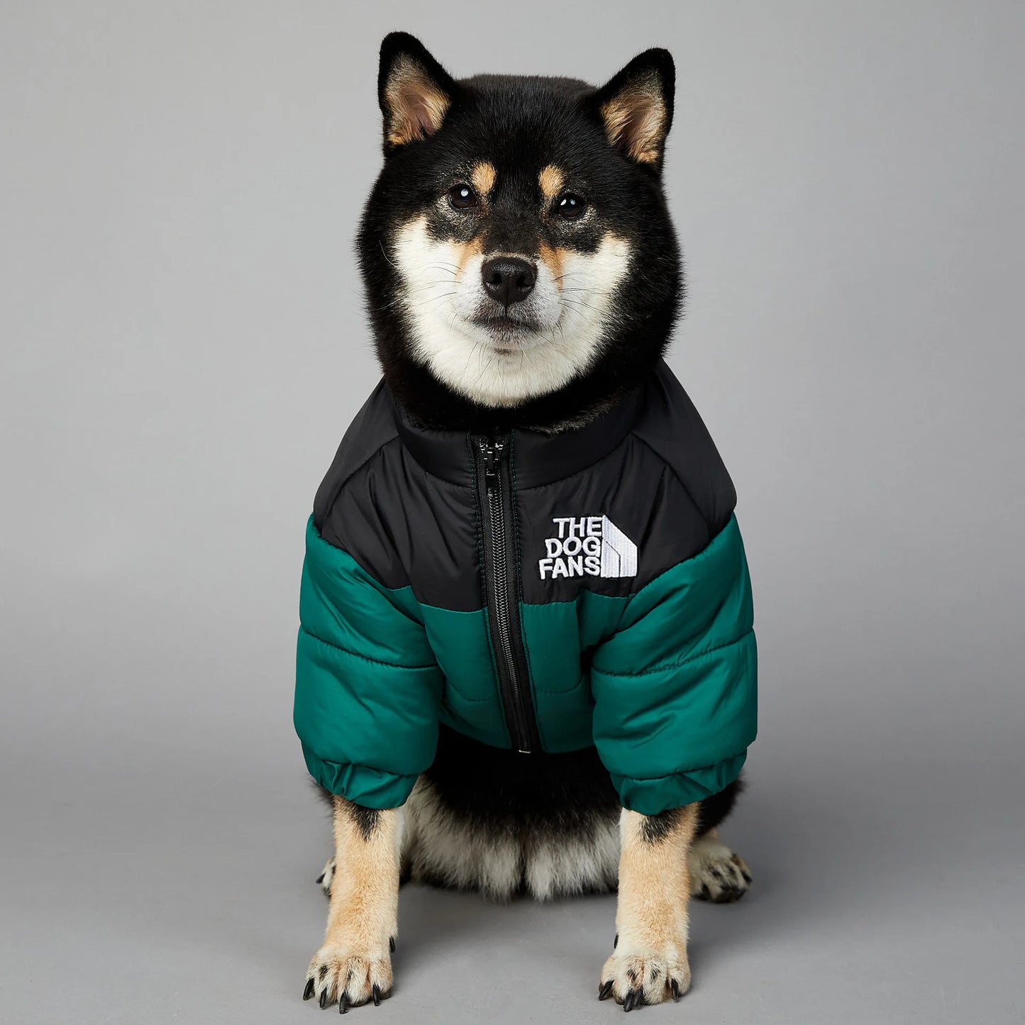 Warm winter coat for dogs