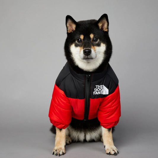 Warm winter coat for dogs