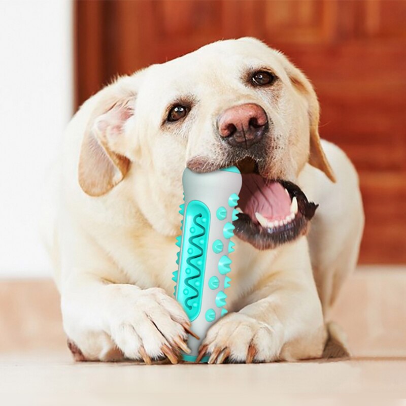 Dog Toy Teething Stick Chewable Teeth Cleaning Bones Dog Toothbrush