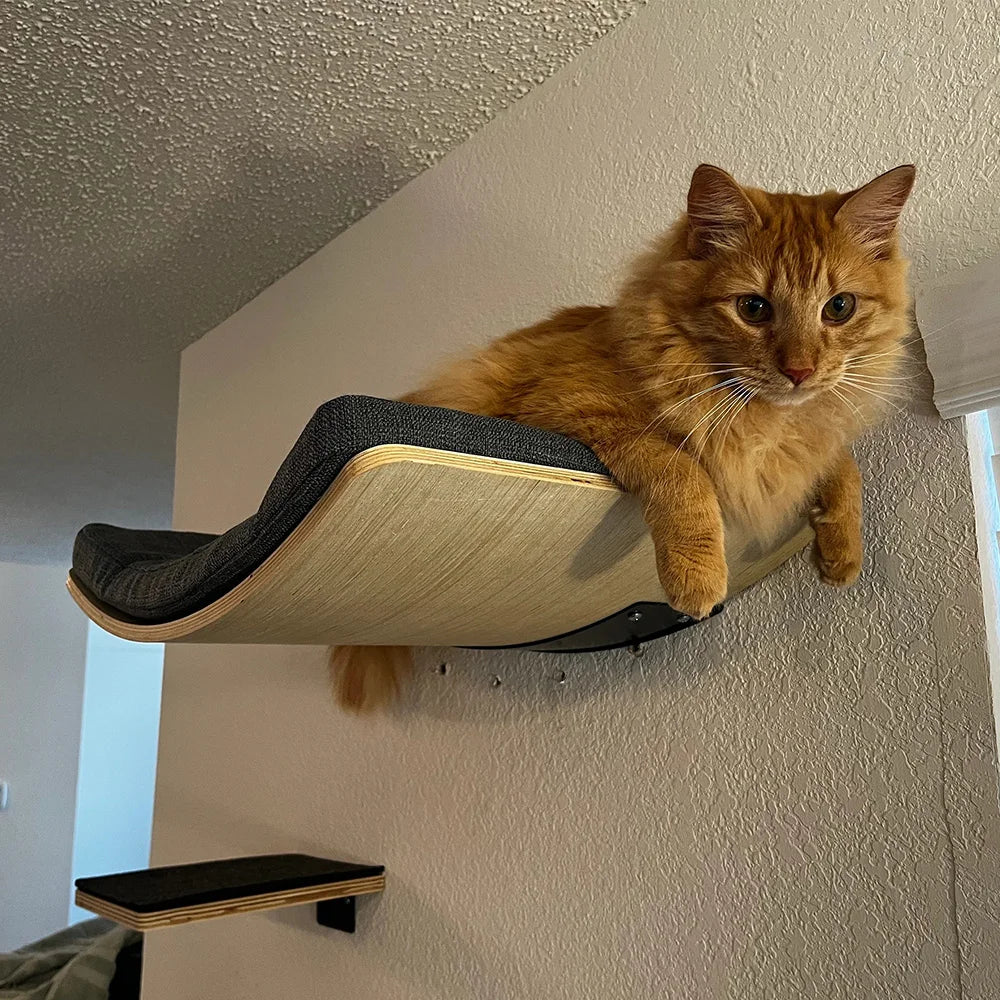 Soft Cushioned Wall Mounted Indoor Shelves For Cats