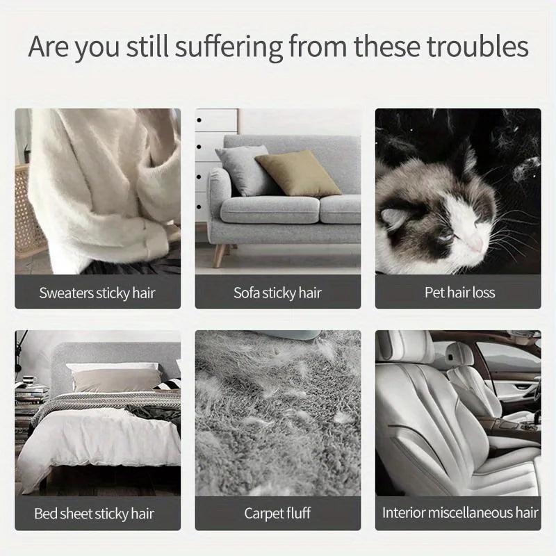 Double-Sided Pet Hair Remover,