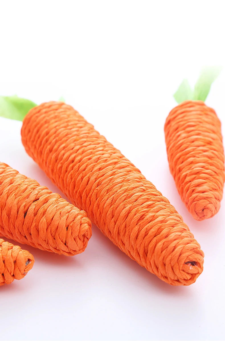Carrot Chew Toy for Cats