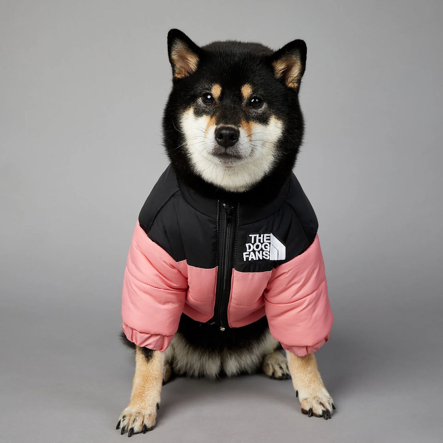 Warm winter coat for dogs