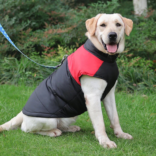 Winter Zipper Vest Jacket For Large Dogs, Waterproof Coat , Cotton Padded & Windproof.