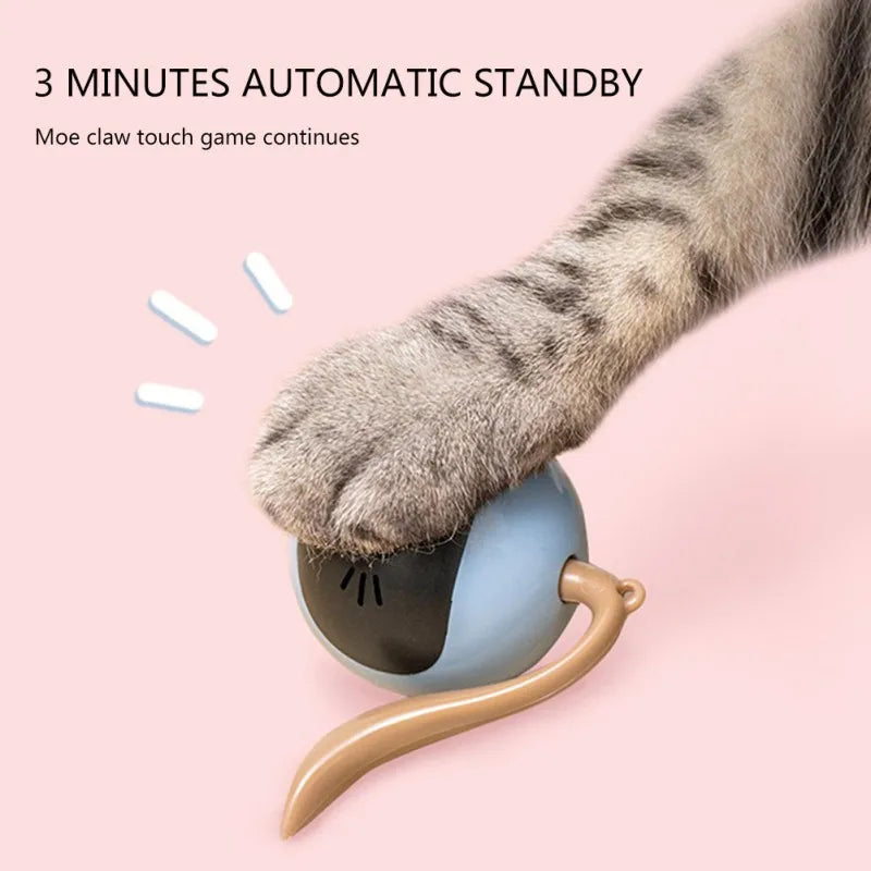 Automatic Self Rotating Toy For Pups & Kittens