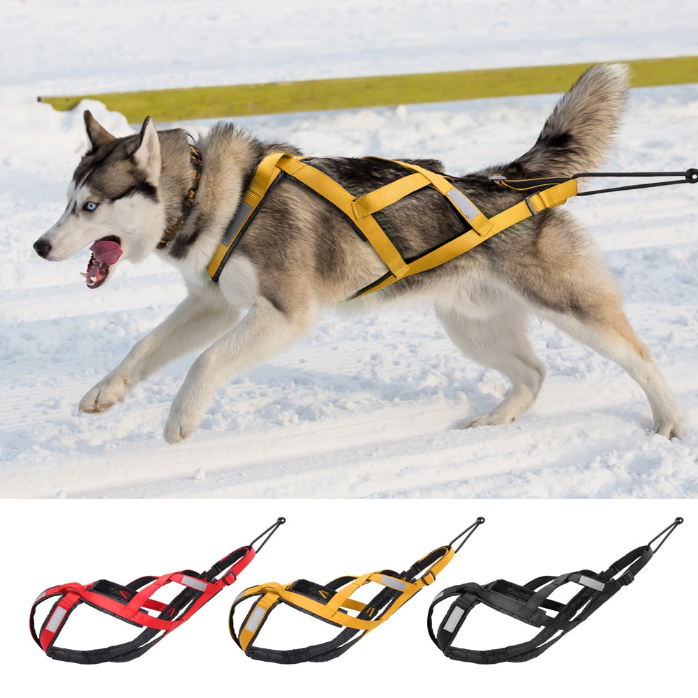 Dog Sled Harness Pet Weight Pulling Sledding Harness Mushing